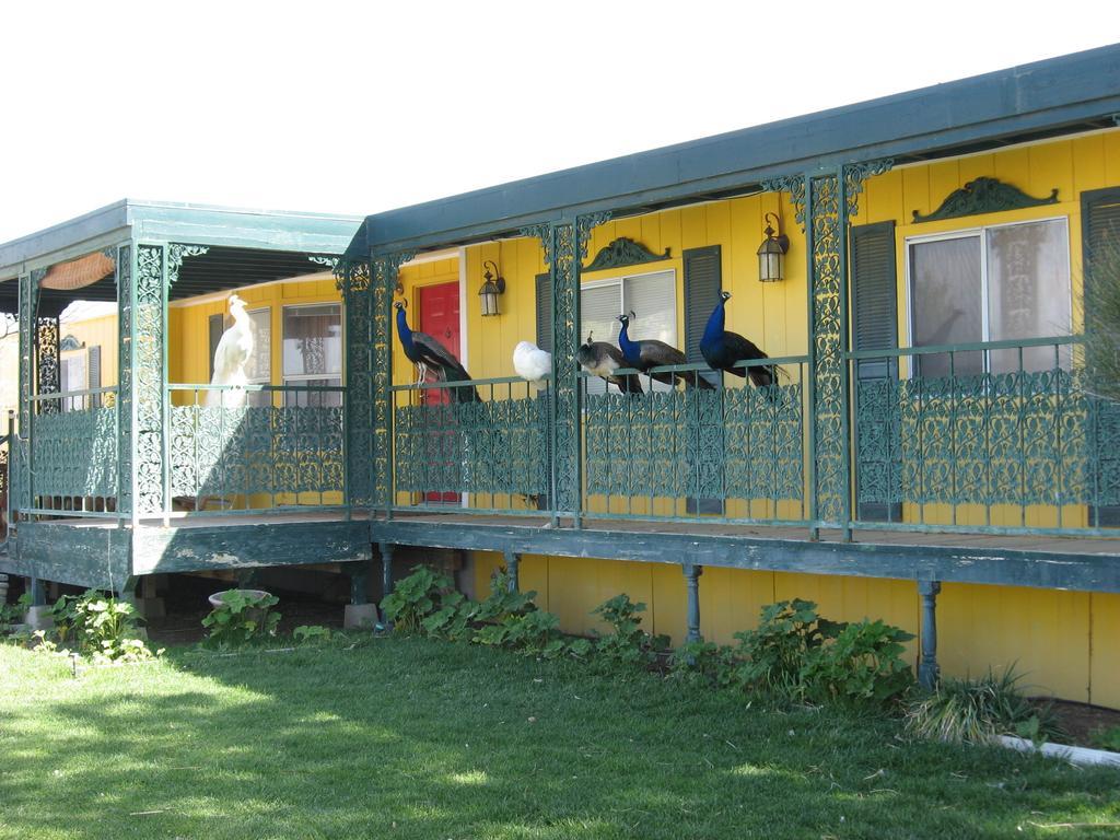 Shady Lady Bed And Breakfast Scottys Junction Екстер'єр фото